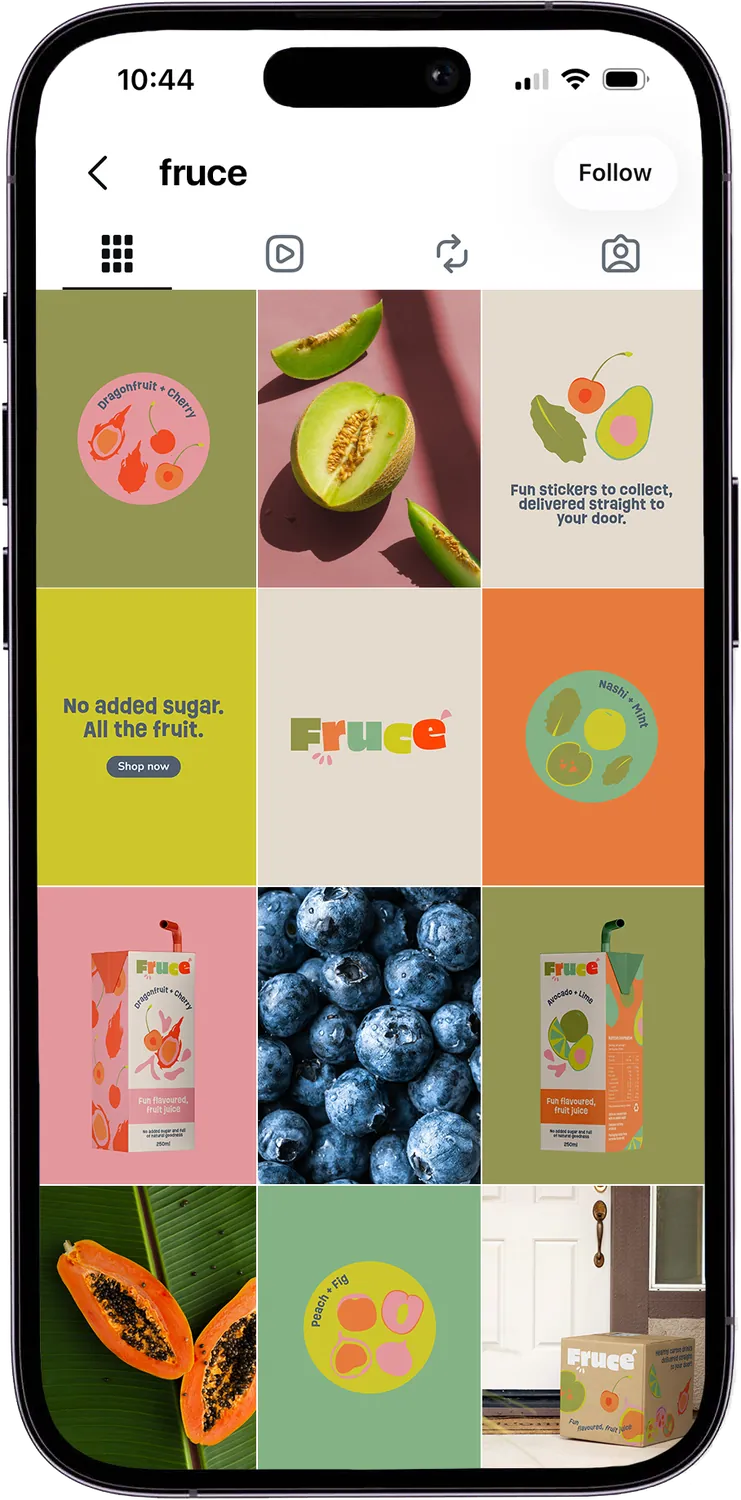 Fruce Instagram feed